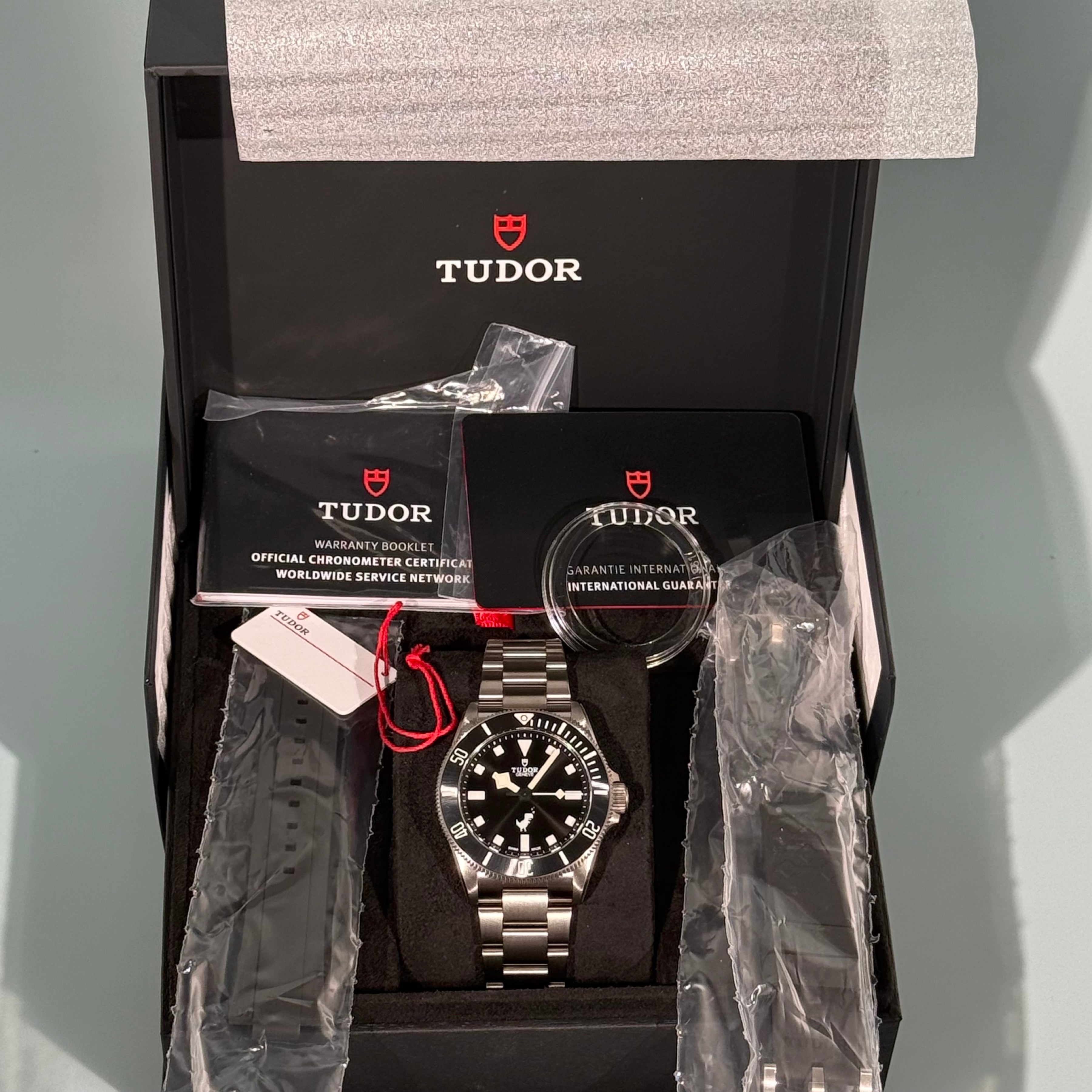 Tudor Pelagos (Google Dino)