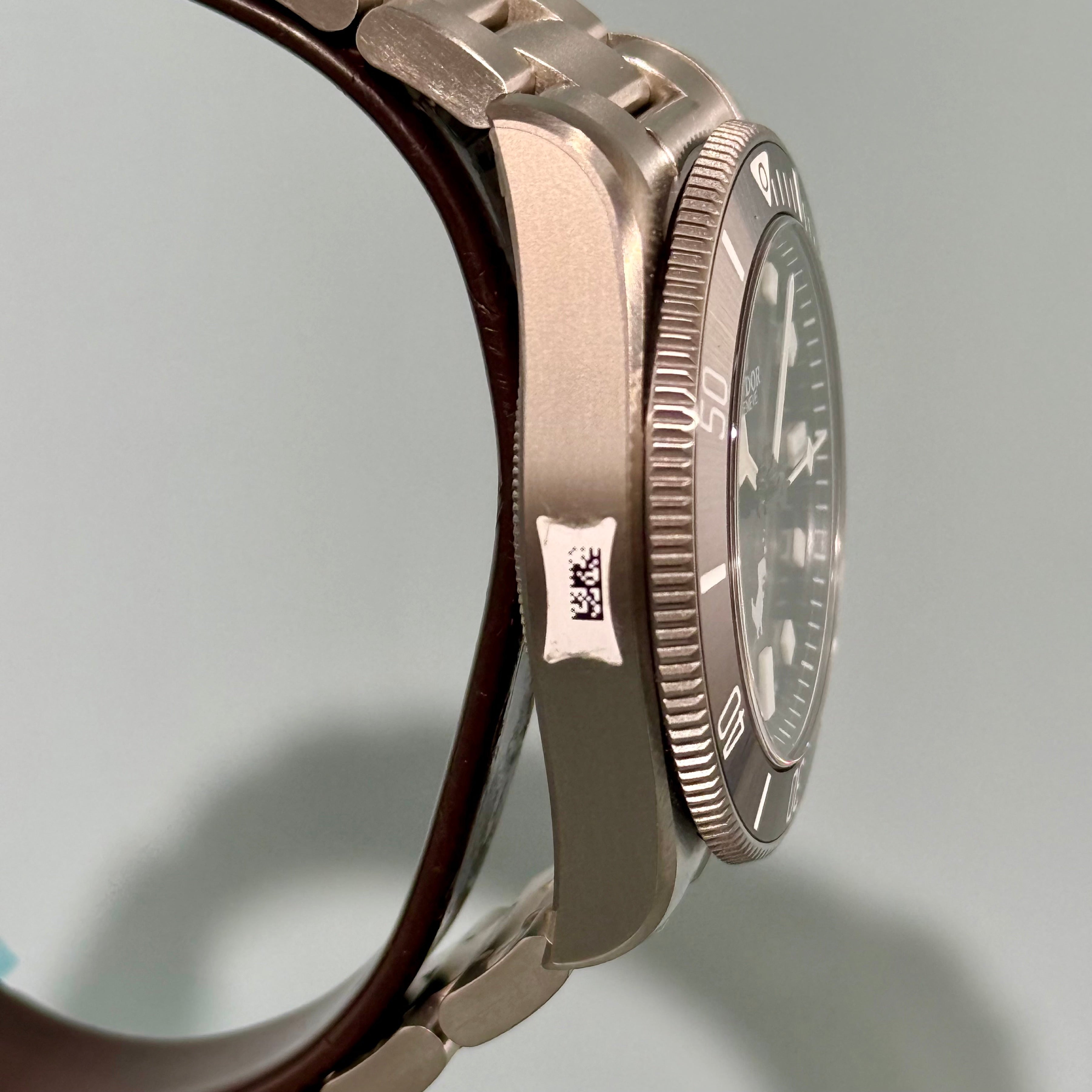 Tudor Pelagos (Google Dino)