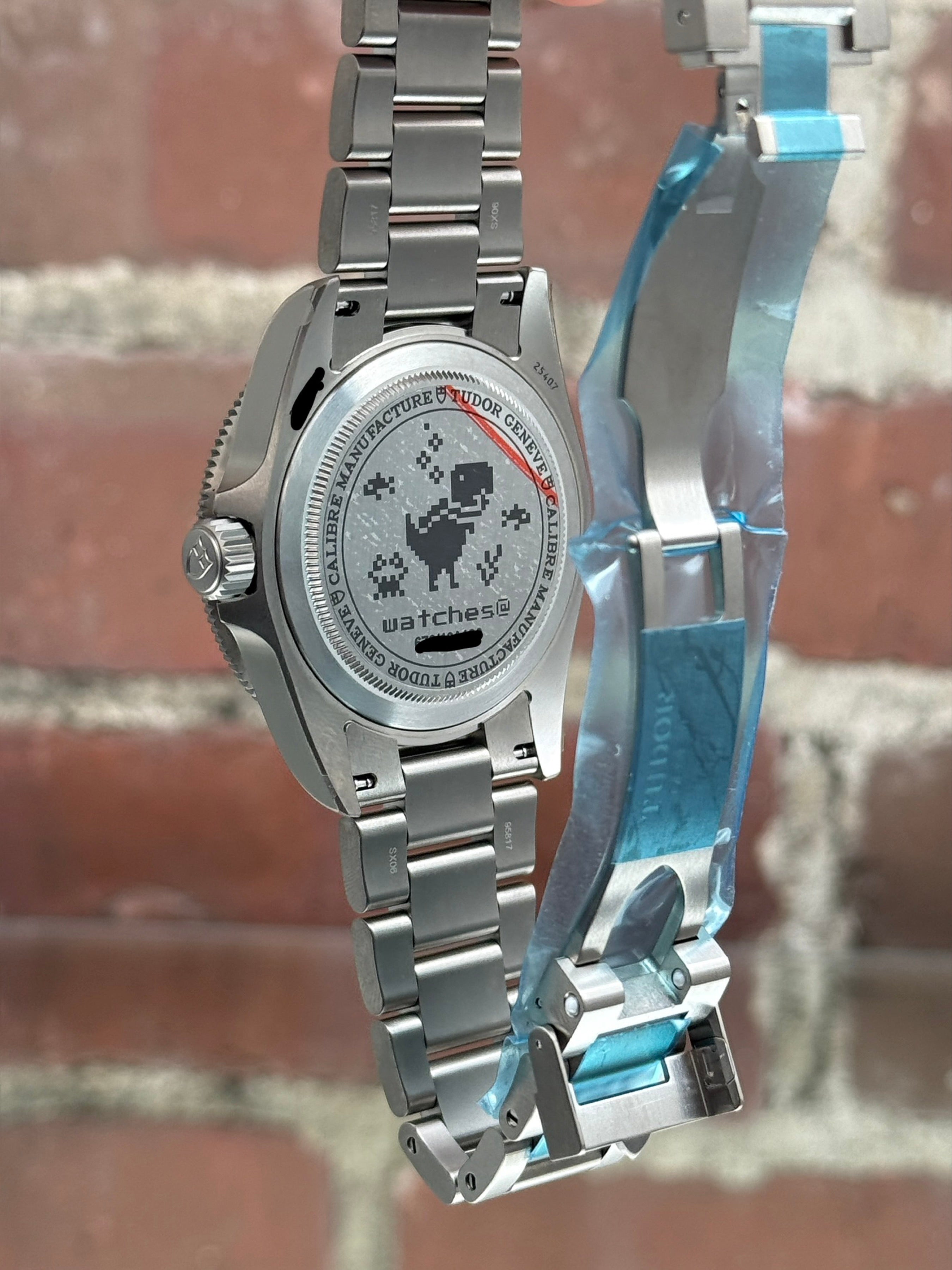 Tudor Pelagos (Google Dino)