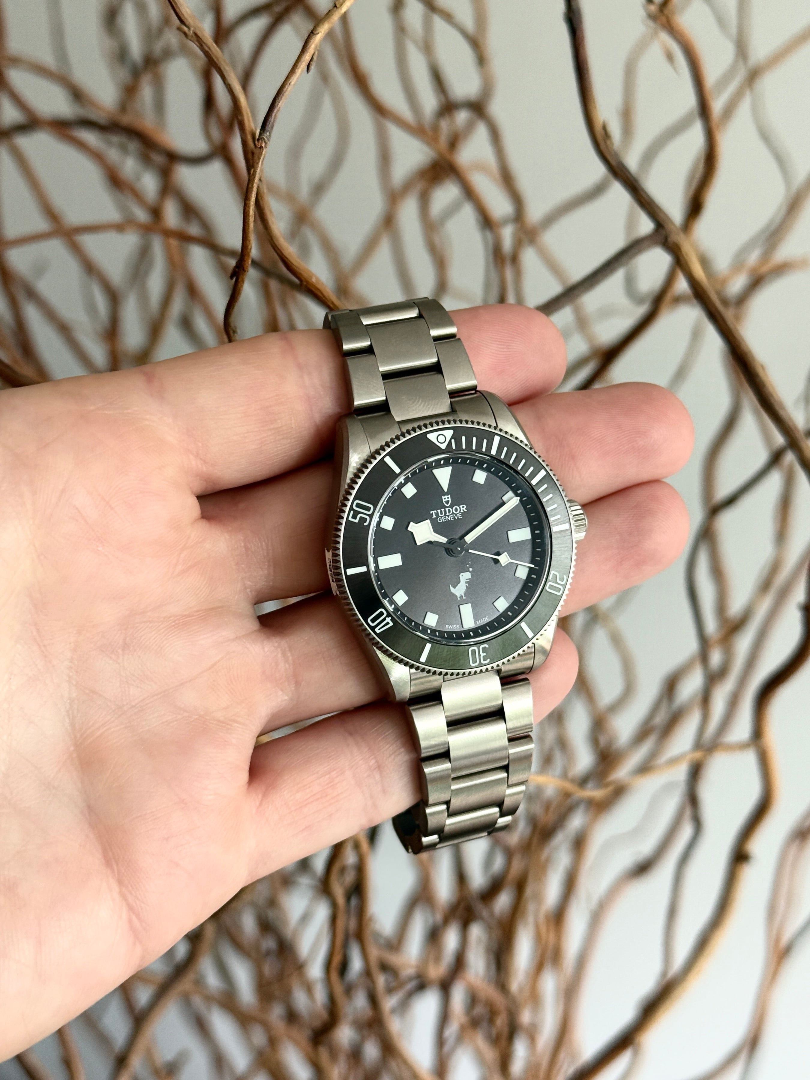 Tudor Pelagos (Google Dino)