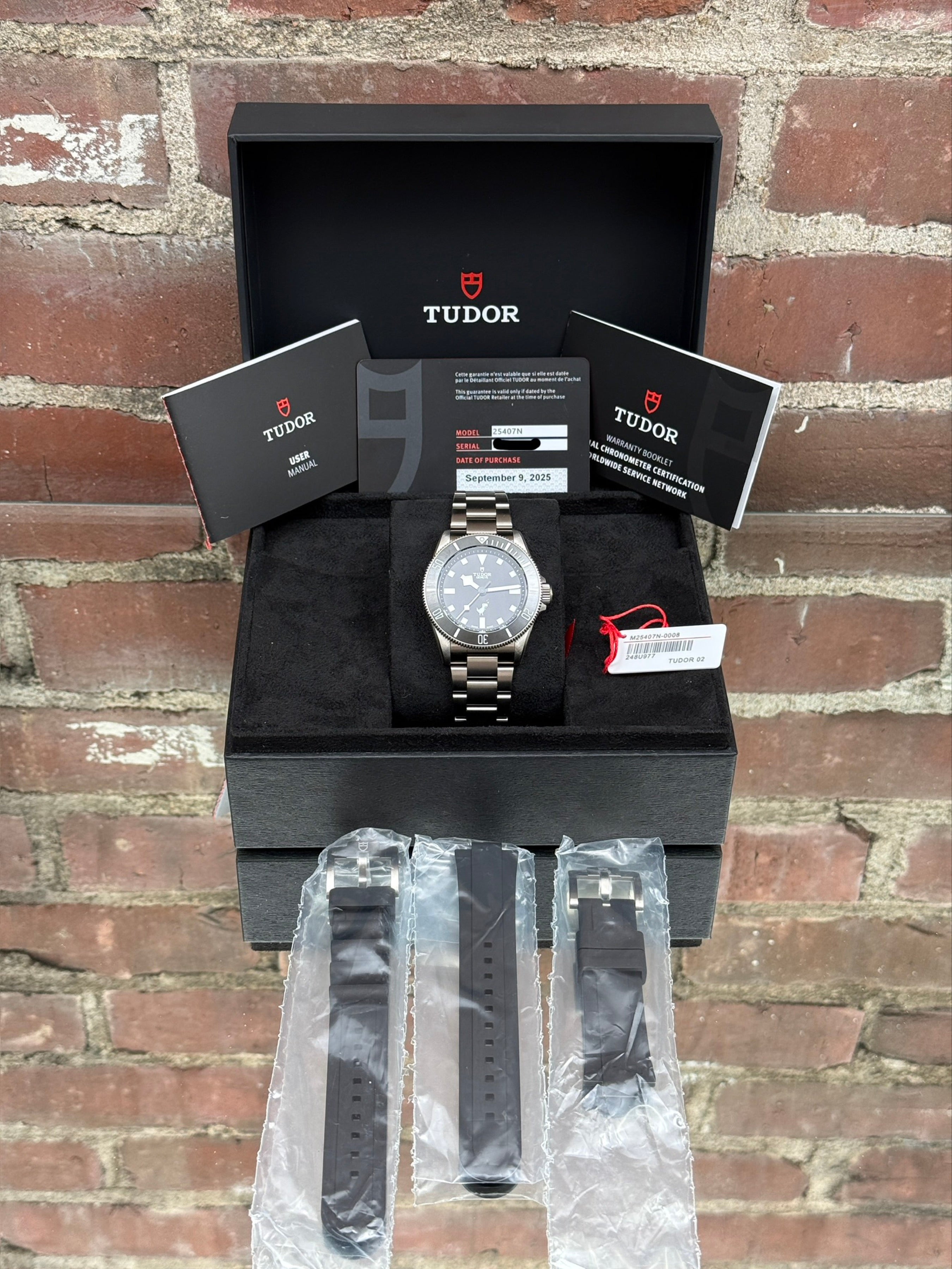Tudor Pelagos (Google Dino)