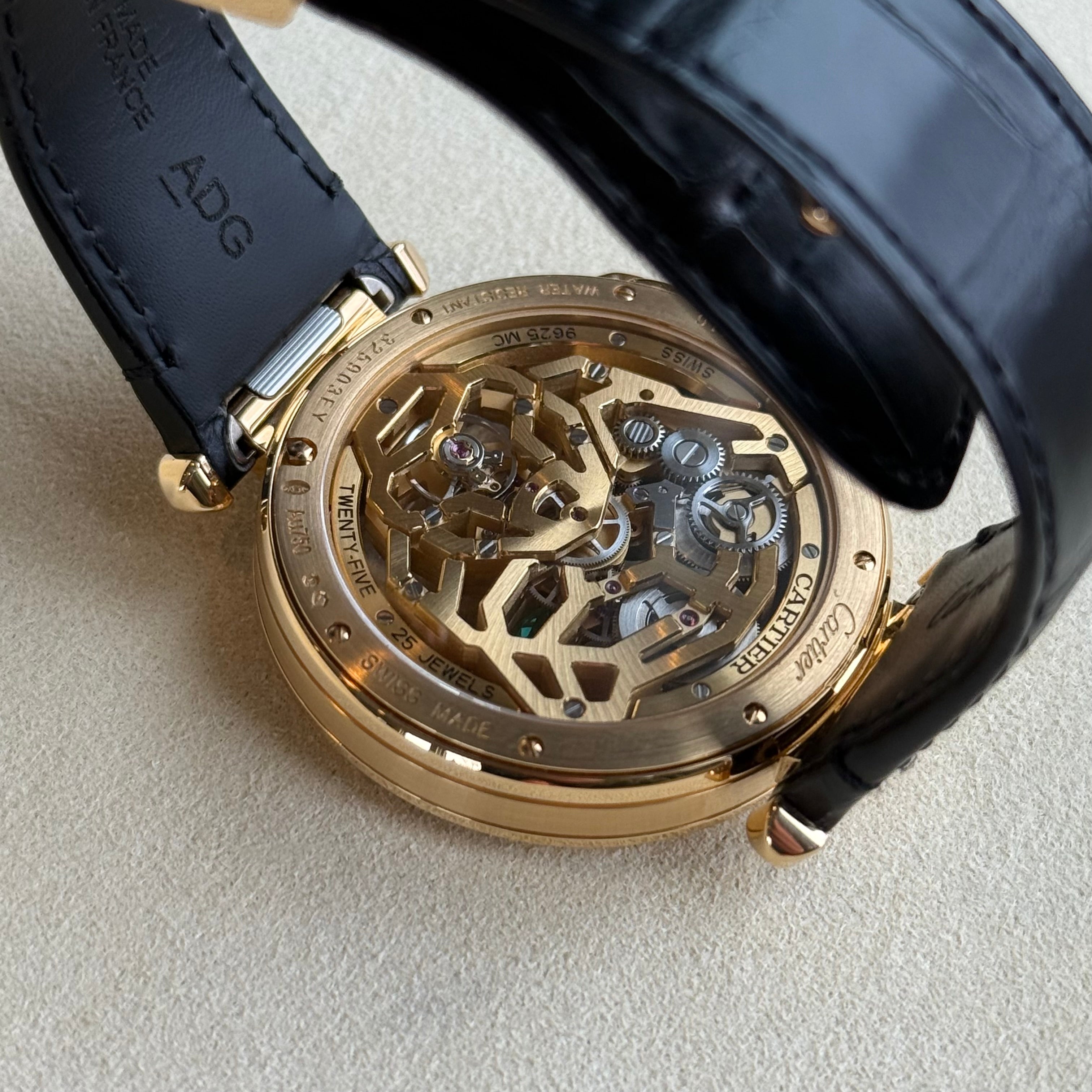 Cartier Pasha Dial HPI01359