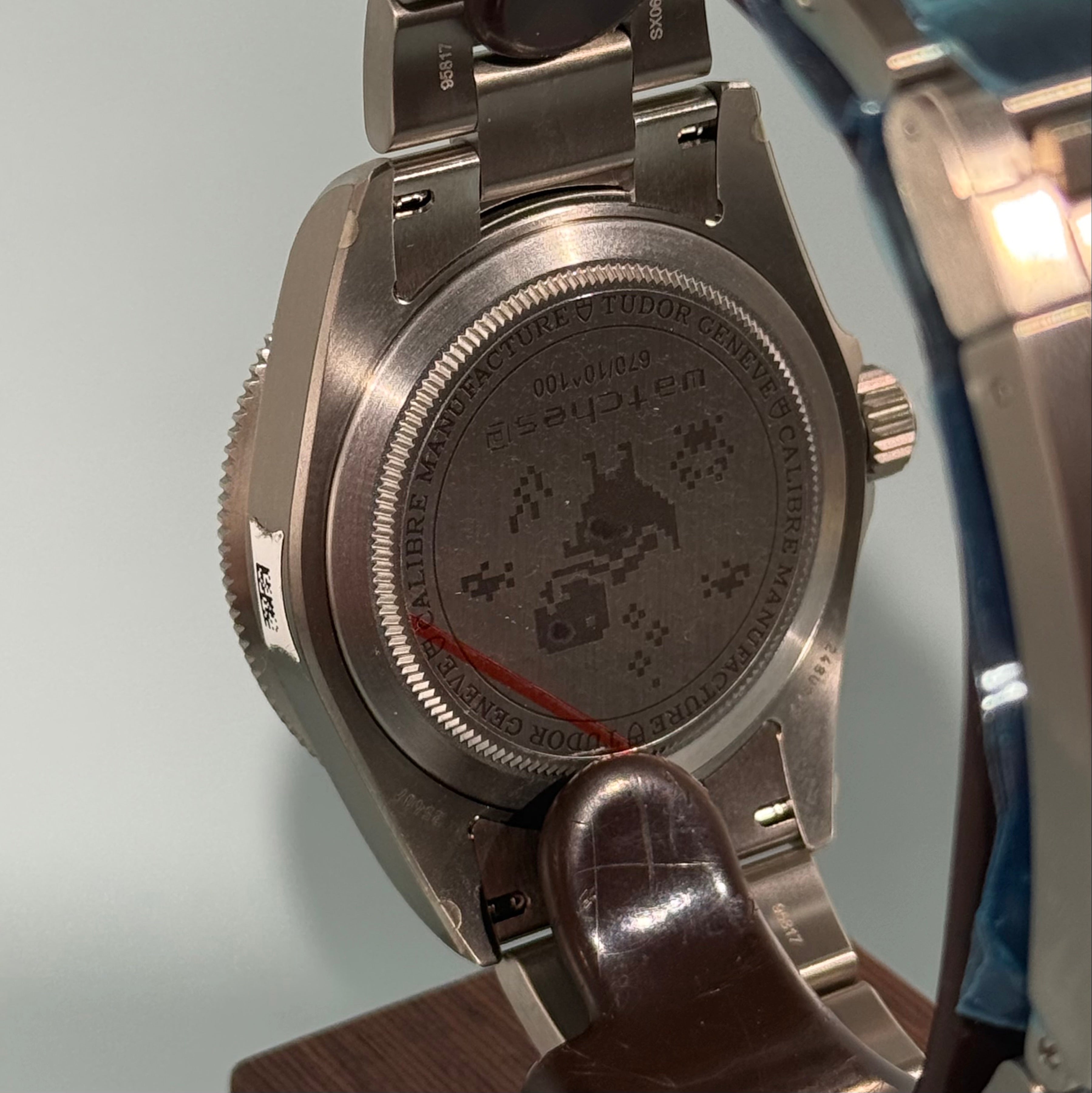 Tudor Pelagos (Google Dino)