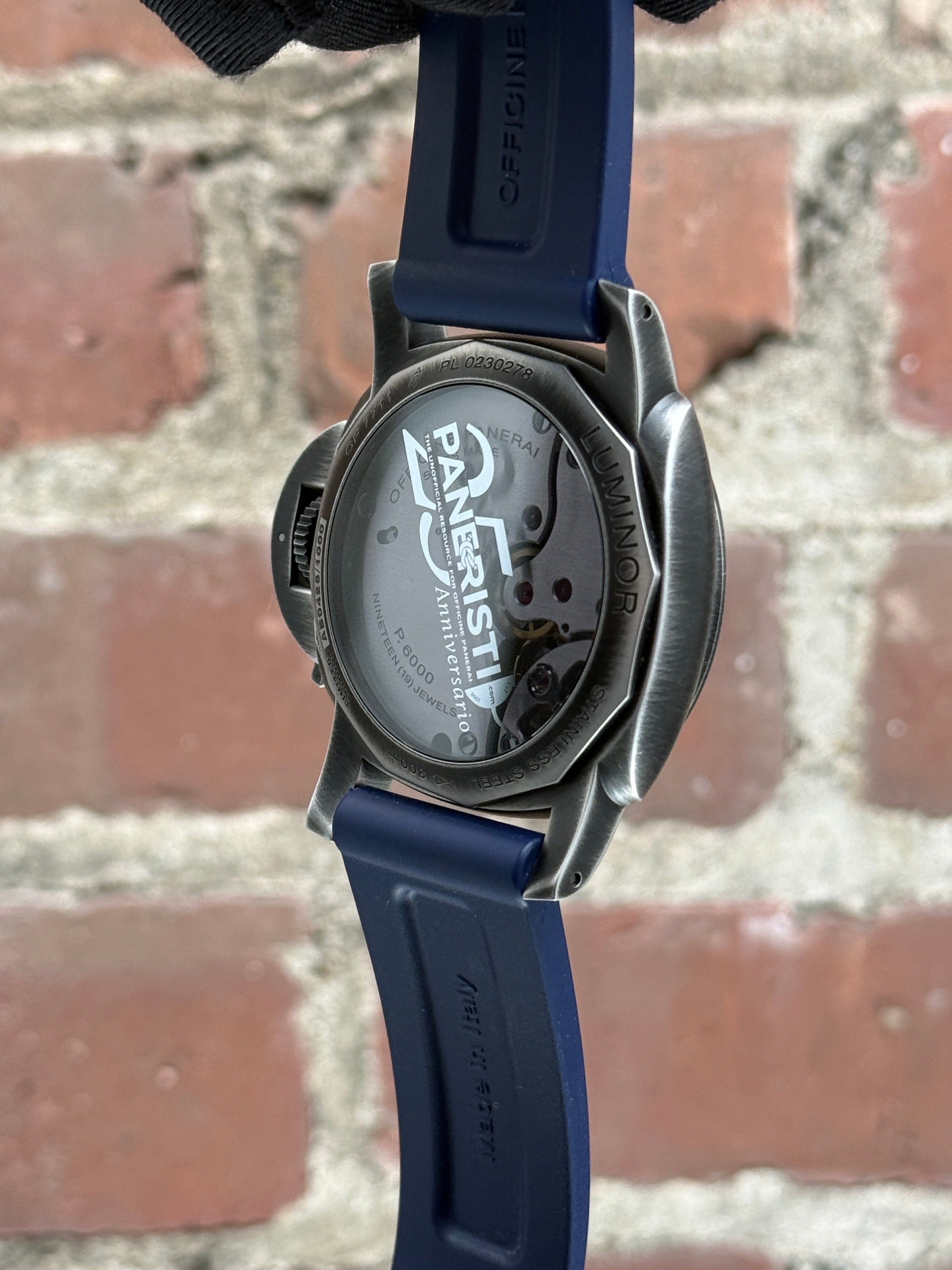 Mint Panerai Luminor Venticinque PAM 02025 | Steel Blue